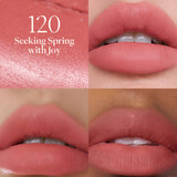 JOOCYEE MATTE MUDDY ROUGE